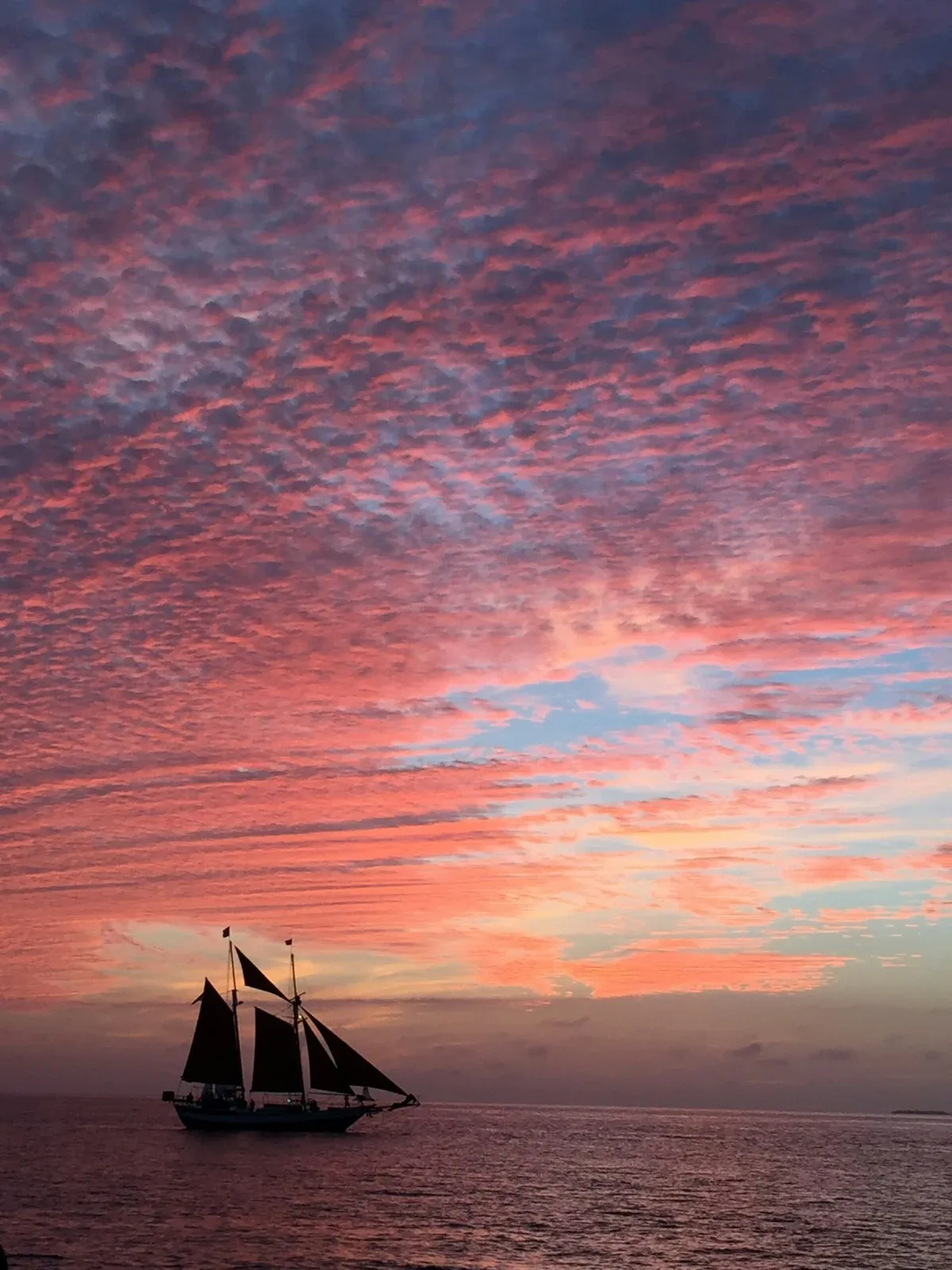 The schooner silhouetted under a pink sunset sky